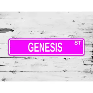 Genesis Street Sign Personalized Custom Name Gift