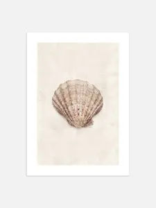 Scallop Shell Poster unFramed Print Poster no framed, poster print, poster movie
