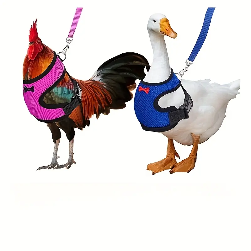 1 Set of Breathable Mesh Pet Vests with Leads and Bow Ties for Chicken, Duck, and Goose - Adjustable Shoulder Straps, Hand Wash Only, Perfect for Outdoor Walking and Leisure Bird Collars