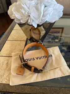 Pre-owned Louis Vuitton Coated Canvas Bag Accessories Original Monogram Dog Collar 18.5 to 22.5 Unisex Brand New Condition Full Set