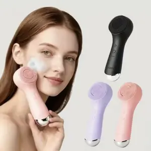 Facial Cleansing Brush Skin Massager Electric Silicone LED Lighting Face Brush Sonic Vibration IPX6 Waterproof