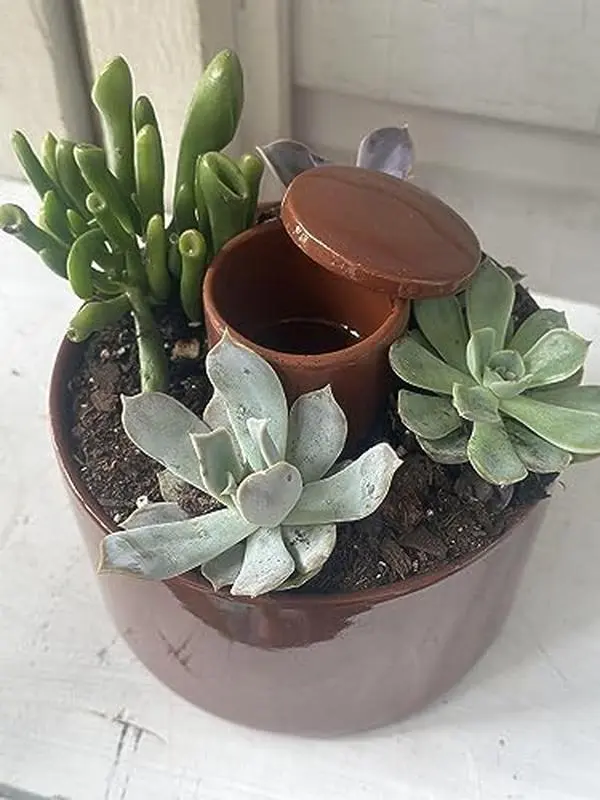 Terracotta Self Watering Pot with Moisture Transfer Core for Easy Watering & Perfect for Any Plant Location Flower Pots & Planters