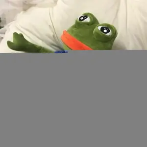 45cm Animal Sad Frog Plush Toy Soft Stuffed Pillow Magic Expression Pepe The Sad Frog Plush Doll Birthday GIfts For Girls Boys