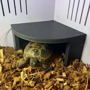 Reptile Hide | 8x8x4.5 inch | PVC Material | Terrarium Corner Hide | Light Weight