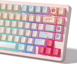 Womier PBT Keycaps, Custom Shine Through Backlit Cherry Profile Keys for Cherry Gateron MX Switches Mechanical Keyboards