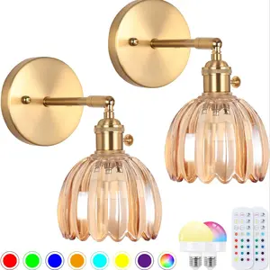 2 pieces of glass wall lamps with RGB rechargeable light bulbs, equipped with remote control dimming tulip glass lampshades, suitable for bedroom, living room, bedside lamp and home decoration