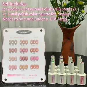 12 Color Peach Gel Nail Polish Set for Salon, Summer Limited Edition, Fresh and Gentle Apricot Contrast, Includes Color Chart
