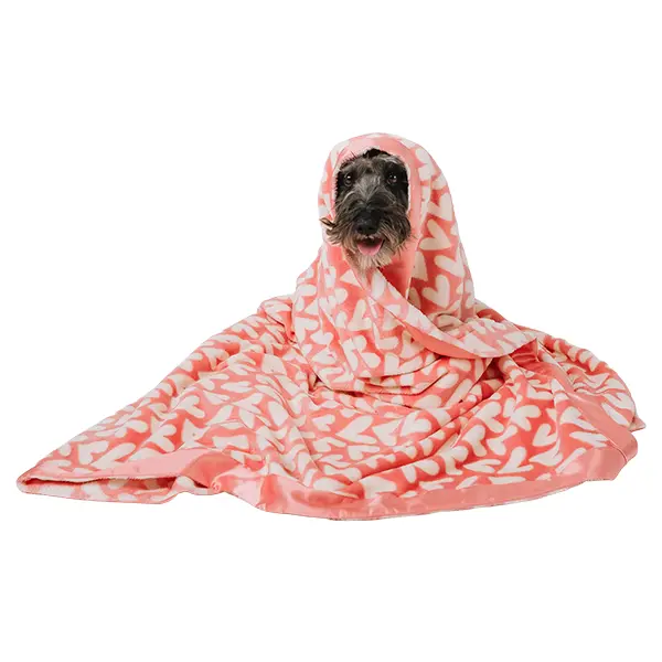 Darren & Phillip Dog Snuggle Blankets – Ultra Soft & Cozy Throws for Dog Lovers, Perfect for Snuggles on the Couch or Bed, Matches Our Dog and Human Robes for the Ultimate Comfort Combo