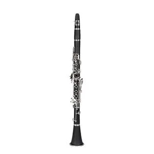17 Keys Flat B Black Clarinet with Two Mouthpieces Connector for Beginner Student