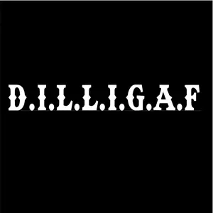 Dilligaf  vinyl decal car window choose color and size