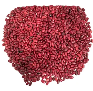 Nicaraguan Red Beans 5 lbs - 100% Natural & Traditional Grain for Gallo Pinto & More - Rich Fiber & Authentic Flavor Protein