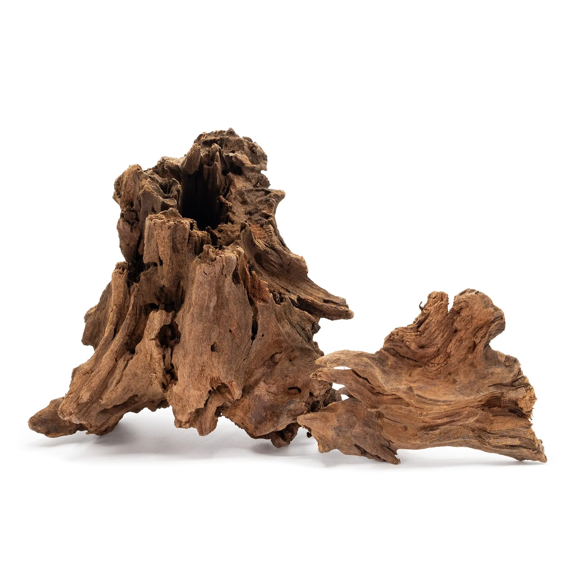 Malaysian Driftwood Terrarium Decor