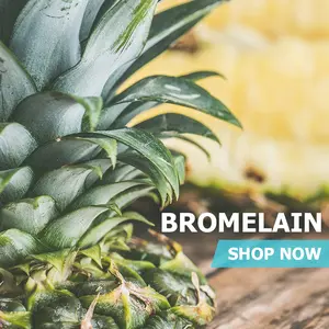 Bromelain - Pineapple Powder