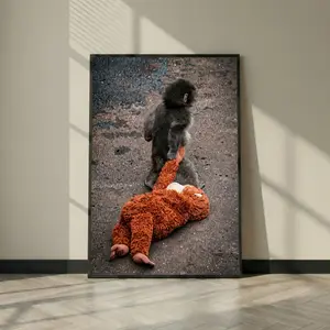 Viral Baby Monkey Punch Poster - Cute Macaque Dragging Stuffed Toy Wall Art - Japan Zoo Animal Print, The Broken Are The More Evolved Poster
