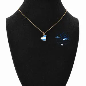 Cadena minimalista con dije mapa de Nicaragua