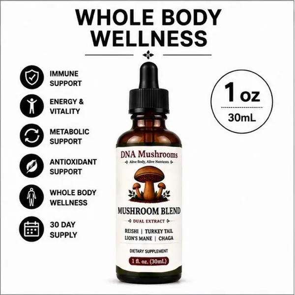 Gluten-Free Edible Mushroom Extract Liquid Tincture Supplement - Chaga, Lion's Mane, Cordyceps, Maitake Blend - 1 Bottle, Antioxidant-Rich, Boosts Focus, Natural Energy, Metabolism Aid, Detox, Joint & Muscle Support