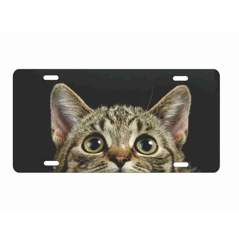 BLACK CATS 1982 U.S.A. TOUR プレート black cat front license plate - TikTok Shop