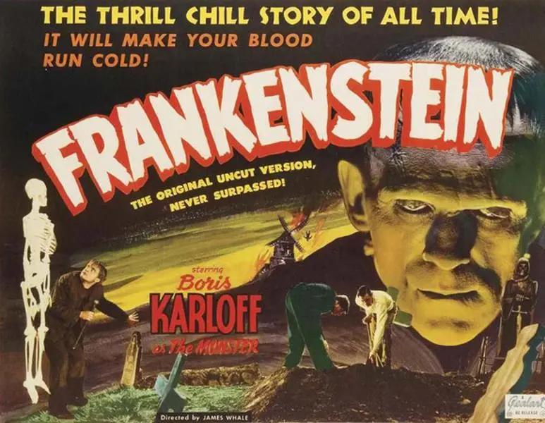 Frankenstein Movie Poster Print (11 x 17)