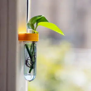 Roota Planters Upcycled Plant Propagation Tube 5.3", Wall & Fridge Mounted Indoor Planter for Cuttings, 3D Printed Eco-Friendly Small Space Decor