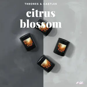 Citrus Blossom 4oz Candle