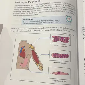 review image 4