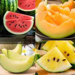 Garden Seeds Melon Collection - 5 Kind of Heirloom Melon Fruit Seed: Honey Rock Cantaloupe, Honeydew Melons, Yellow Petite, Watermelon   zsb3