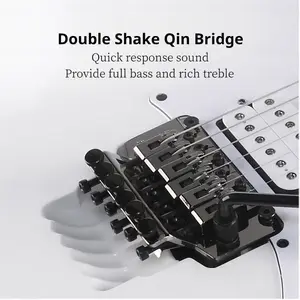 Electric Guitar Double Tremolo Bridge Vibrato System, Guitar Tailpiece Double Tremolo Vibrato Device, Full Set of String Bridge Accessories