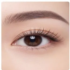 YANJIE Magnetic Eyelashes Kit for Beginners – Reusable No Glue Needed Natural Look False Lashes with Applicator