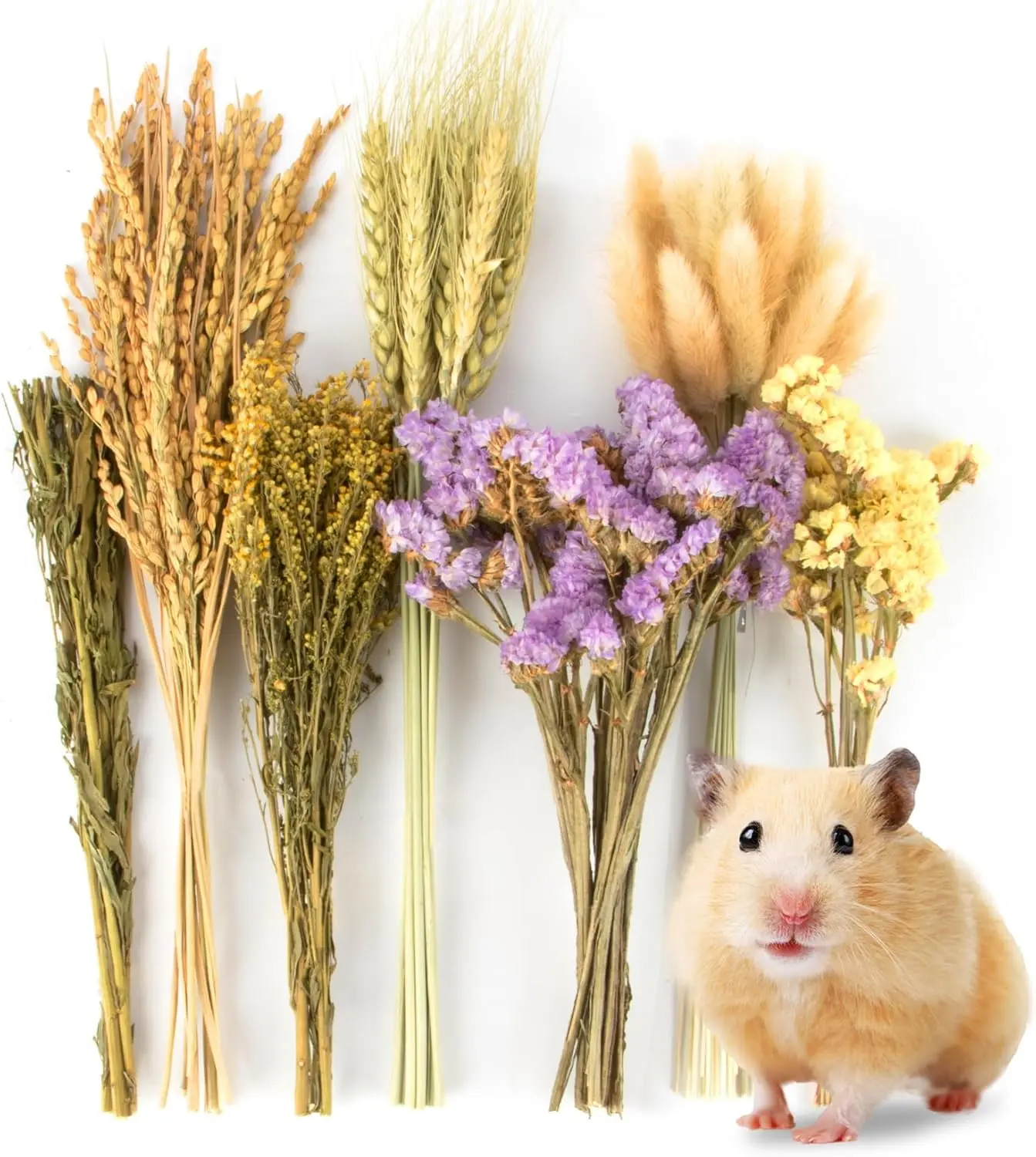 60PCS Hamster Sprays - Natural Flower Herb Bedding & Habitat Decor | Natural Grain and Herb Sprays for Syrian & Dwarf Hamsters, Gerbils, Rabbits and Small Pets, for Foraging and Cage Enrichment