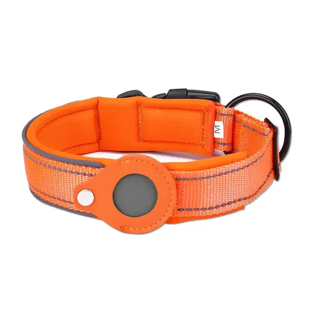 Collar Orange