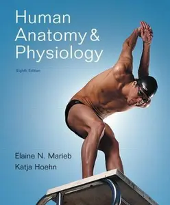 USED-Human Anatomy & Physiology by Elaine N. Marieb (Hardcover)