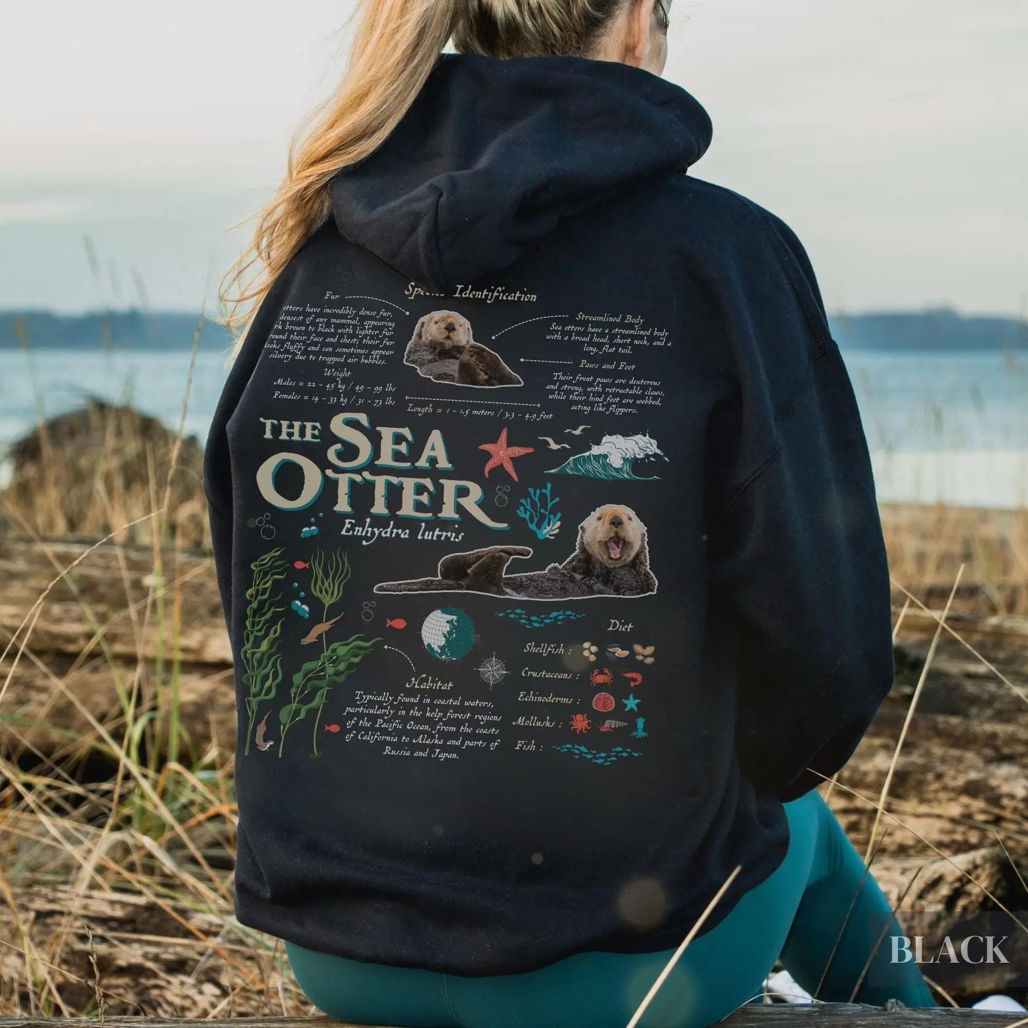 Sea Otter Marine Biology Hoodie Retro 90s Y2k Science Nerd Sweatshirt West Coast Animal Anatomy Hoody Unique Pnw Summer Beach Pullover  T-shirt, sweater and Hoodie
