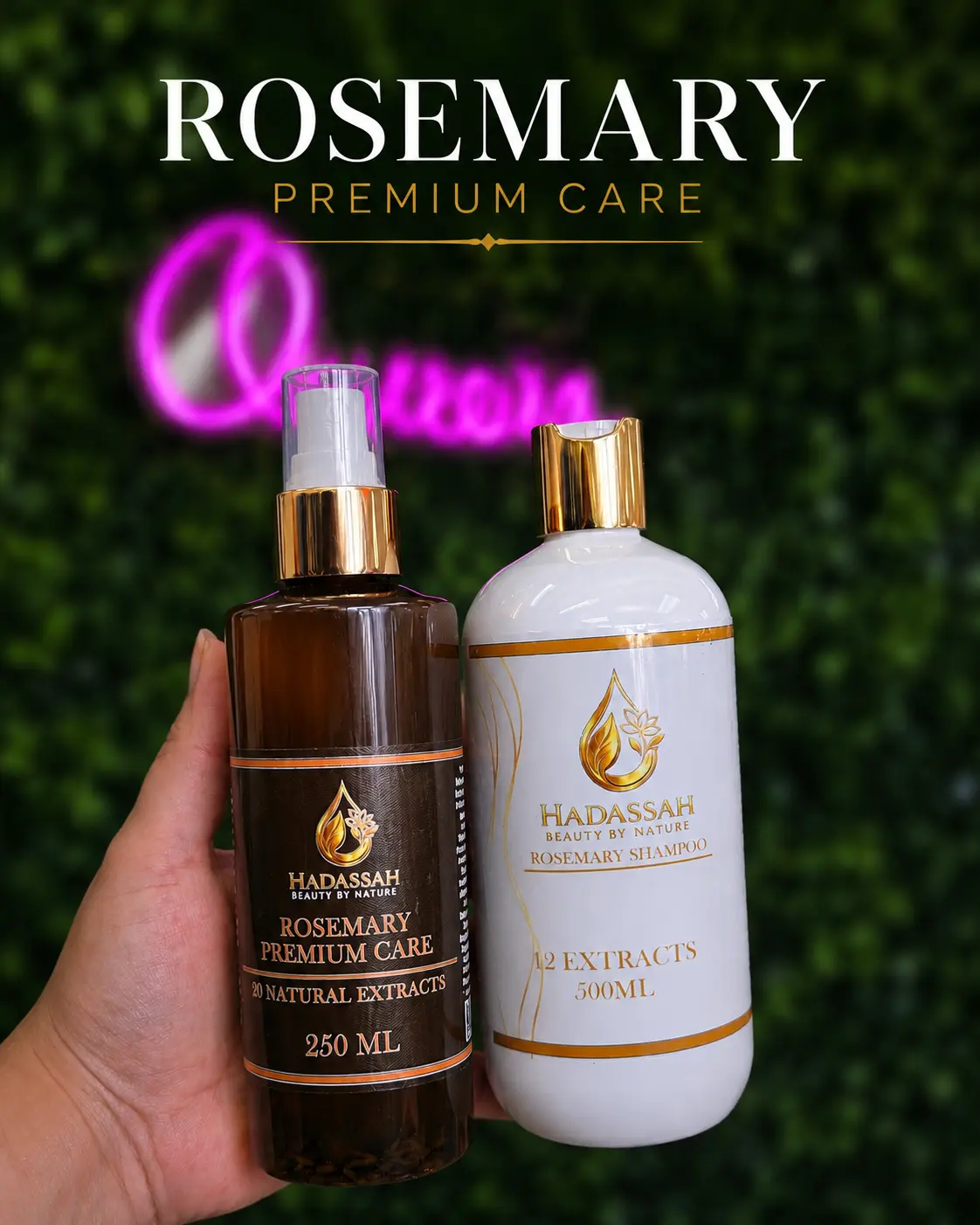 Rosemary Haircare Kit - Daily Lightweight Shampoo & Cleanser Spray Set for Hair Oil Control