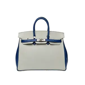 Pre-owned HERMÈS Birkin 25 80 pearl grey with 73 gemstone blue. Chevre sheepskin. Y pattern. Silver buckle.
