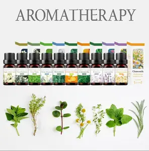 10 Bottles Pure Bliss Essential Oils - 100% Natural & Pure Therapeutic Grade Aromatherapy Oils for Wellbeing, Massage, Skincare & Home Cleaning - Long Lasting Fragrance - 10ml Bottles Wellness Healthcare