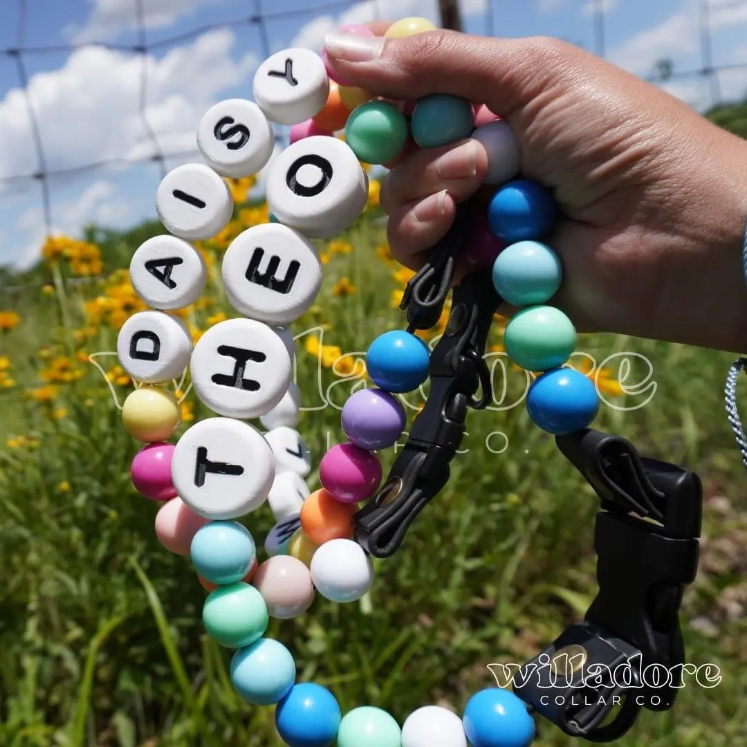 Custom Friendship Dog Collar | You Choose the Colors!