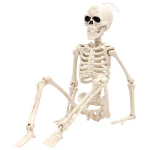 16-Inch Halloween Party Skeleton with Movable Joints, Realistic Full-Body Decor for Haunted House Props, Spooky Halloween Decoration, Adjustable Ornaments