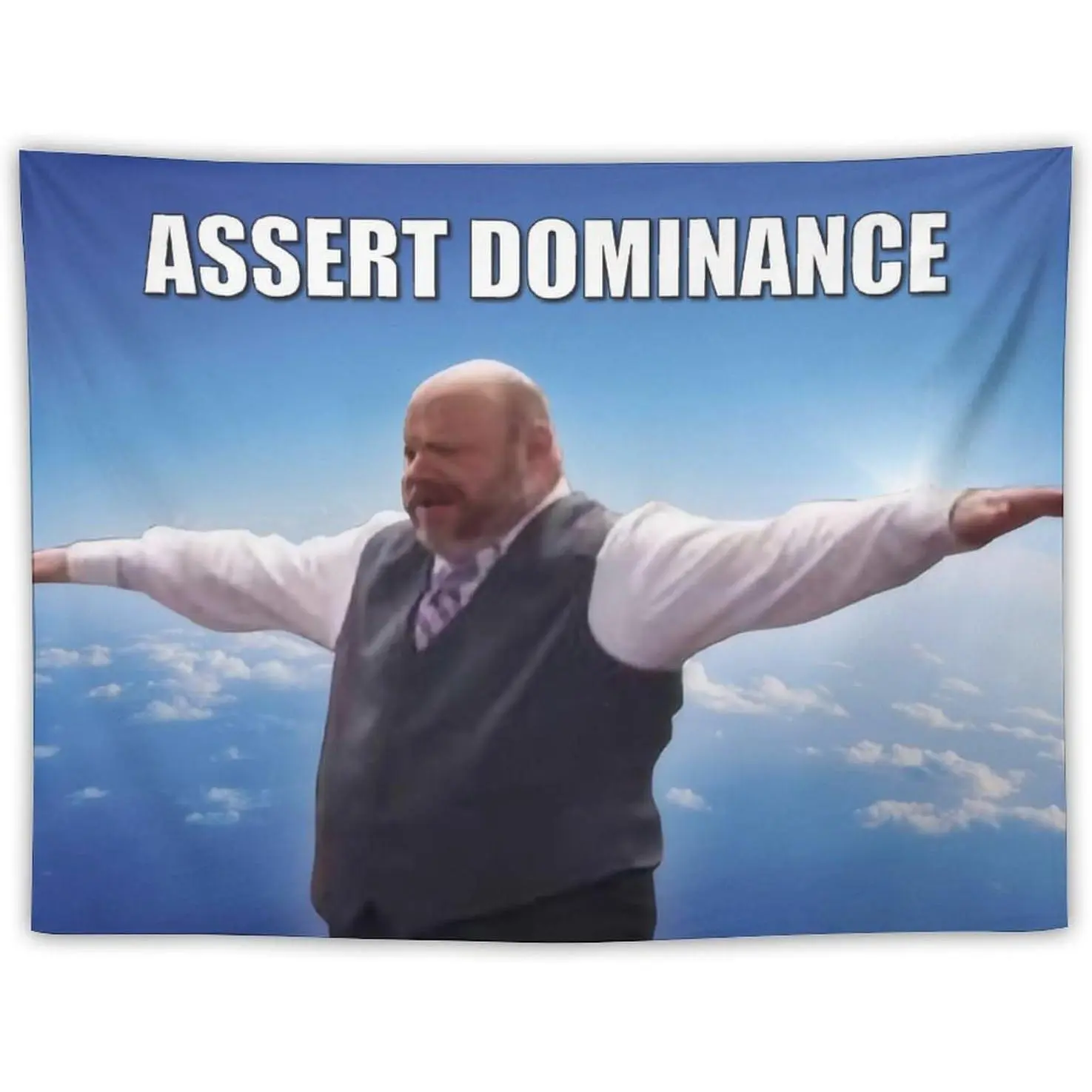 Bertram Superior Assert Dominance Wall Tapestry for Bedroom, College Dorm Or Living Room 30"x40", Meme Funny Tapestries Hanging for Home Decor Gifts bar university dormitory Decoration Items Decorative
