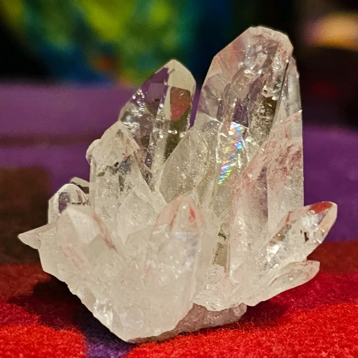 Lemurian Quartz Cluster