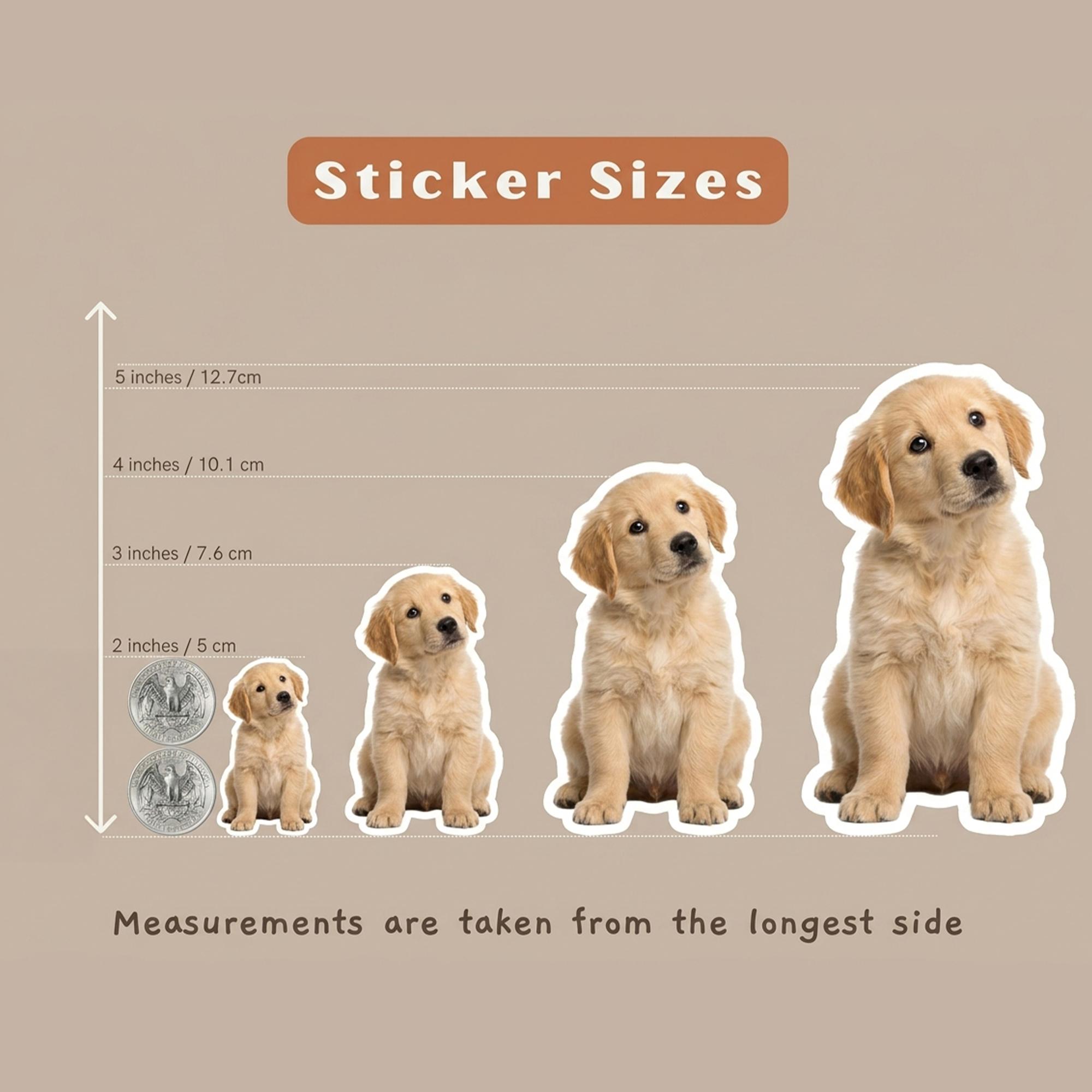 Funny Opossum Sticker First of All I’m a Delight, Sarcastic Meme Sticker, Vintage Animal Humor Decal for Laptop Water Bottle Funny Opossum Sticker First of All I’m a Delight, Sarcastic Meme Sticker, Vintage Animal Humor Decal for Laptop Water Bottle