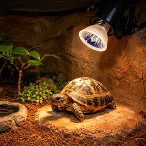 Reptile Terrarium Heat Lamp Bulb, 25/50/75W UVA+UVB 3.0 Basking Light for Turtles & Lizards, 1Pc Amphibian Lighting Bulb with Temperature Controller