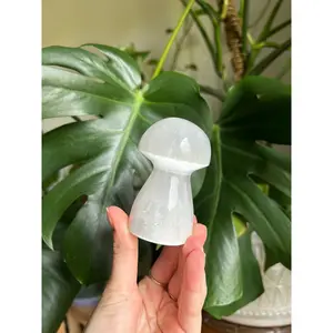 Selenite Mushroom