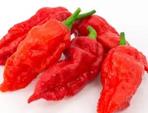 Ghost Pepper (Bhut Jolokia) - 25+ seeds