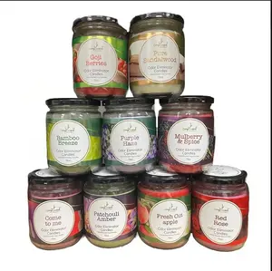 Ampliscent 13oz Soy Blend Candle – Odor Neutralizer for Home, Pets, Smoke & Cook