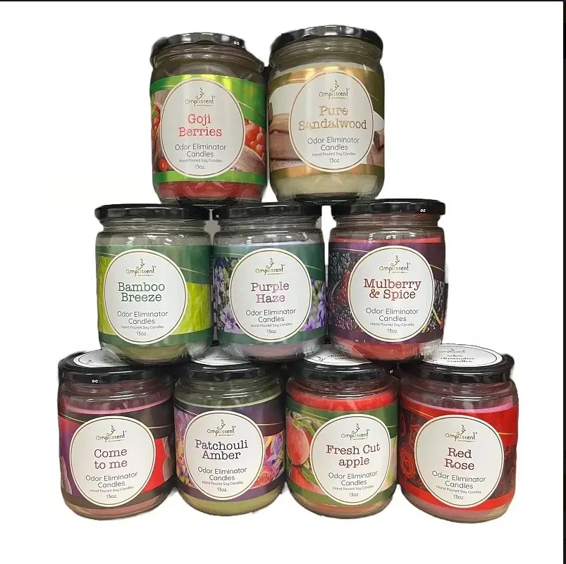 Ampliscent 13oz Soy Blend Candle – Odor Neutralizer for Home, Pets, Smoke & Cook