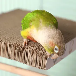 Parrot Chew Toy - Beak Grinding Station with Shredding Surface, Bird Cage Accessories for Small Parrots, Lovebirds, Cockatiels, Budgies - Beak Health, Mental Stimulation, Cage Decoration - Safe Chewing Toy for Pet Birds