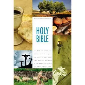USED-Textbook Bible-NIV by Zondervan (Hardcover)