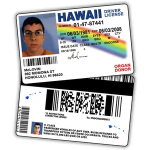 car stuffMcLovin ID Driver License Superbad/Prank Items/Fake ID License/Double Sided/Great Complement for Costumes/Professional Quality: Funny Car Accesori