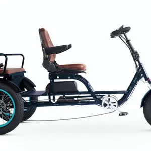EVRY journey EBike Rickshaw 750w EVRY journey EBike Rickshaw 750w