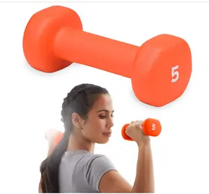 Gaiam Dumbbell Hand Weight (Sold in Singles) - Neoprene Coated Exercise & Fitness Dumbbell for Home Gym Workouts and Strength Training - Free Weights for Women and Men